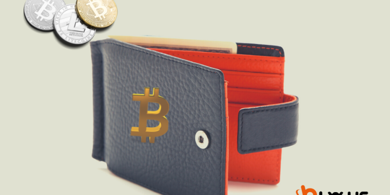 billeteras para bitcoins